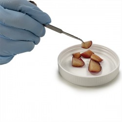 Ustensiles | Aiguille de dissection courbée en acier inoxydable | SAM-A640-140