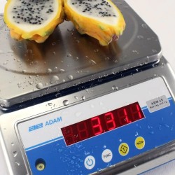 Balance de précision | Balance Étanche Inox IP68 double affichages - 4 à 32Kg - 0.1/ 2g ADAM Equipment | ABW4S_1