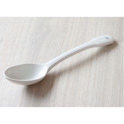 Cuillère en porcelaine Jipo pour acide