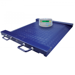 Balance Plateforme PTM 500 avec indicateur GK Adam