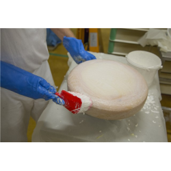 Brosse Alimentaire | Vikan Brosse souple manche court 270 mm 5 couleurs 4198 | VIK-41983_1