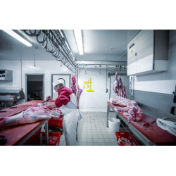 Brosse Alimentaire | Vikan Brosse ronde dure 110 mm 5 couleurs 3885 | VIK-38853_1