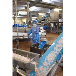 Pelle alimentaire | Vikan Pelle manche droit polypropylène 1040 mm 6 couleurs 56256 | VIK-56253_1