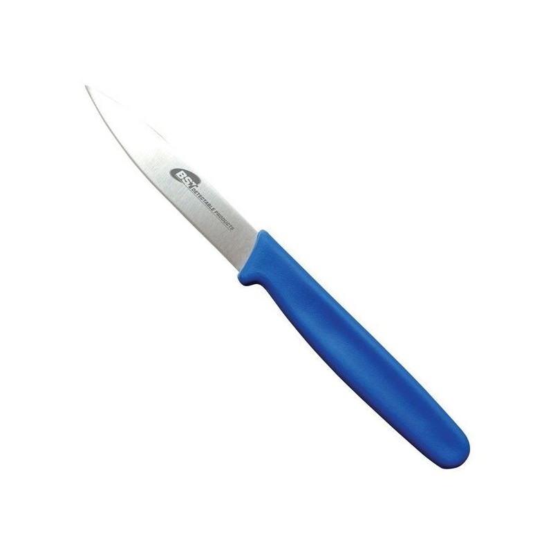 Couteau détectable | Couteau d'office détectable lame inox standard ou dentelée 5 couleurs BST Detectable | K44500B Couteau détectable | Couteau d'office détectable lame inox standard ou dentelée 5 couleurs BST Detectable | K44500B