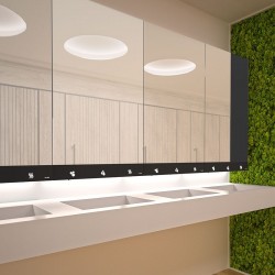 Armoire miroir 4 fonctions DELABIE 510203 Miroir, sèche-mains, distributeur de savon et robinet automatiques