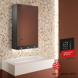Armoire miroir 4 fonctions DELABIE 510204 Miroir, sèche-mains, distributeur de savon et robinet automatiques