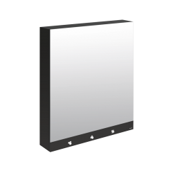 Armoire miroir 4 fonctions DELABIE 510204 Miroir, sèche-mains, distributeur de savon et robinet automatiques