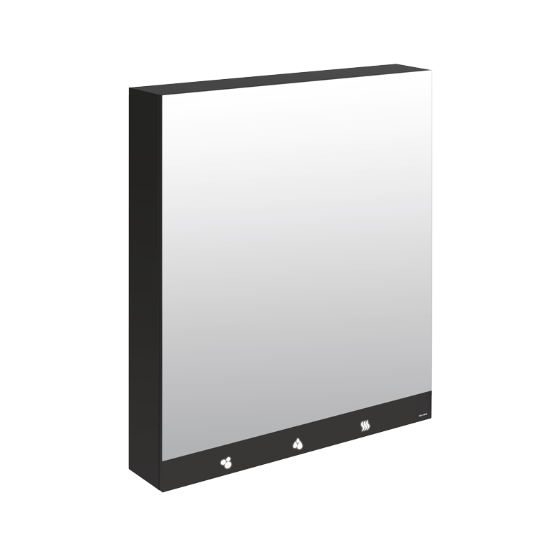 Armoire miroir 4 fonctions DELABIE 510204 Miroir, sèche-mains, distributeur de savon et robinet automatiques