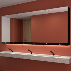 Armoire miroir 3 fonctions DELABIE 510208 Miroir, sèche-mains et distributeur de savon automatique