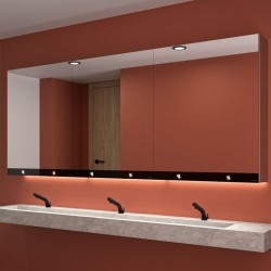 Armoire miroir 3 fonctions DELABIE 510210 Miroir, distributeur de savon et d’essuie-mains