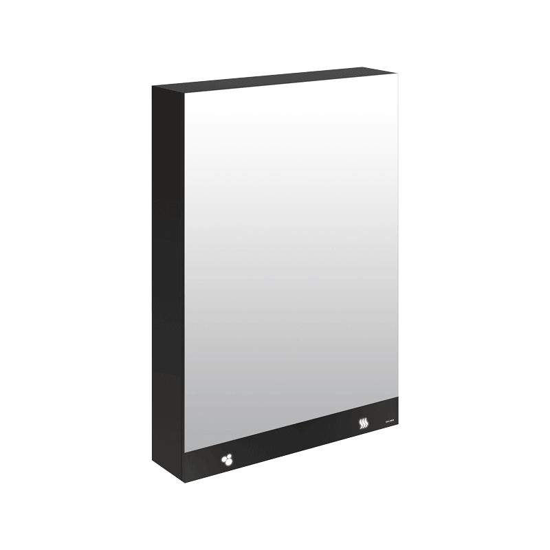 Armoire miroir 3 fonctions DELABIE 510207 Miroir, sèche-mains et distributeur de savon