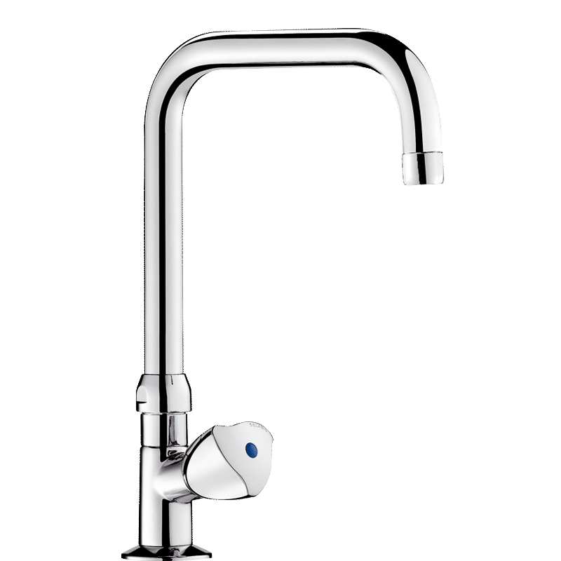 Delabie Robinetterie  | Robinet pilier à bec orientable avec tête à clapet Long-Life DELABIE D2553 | DEL-D2553