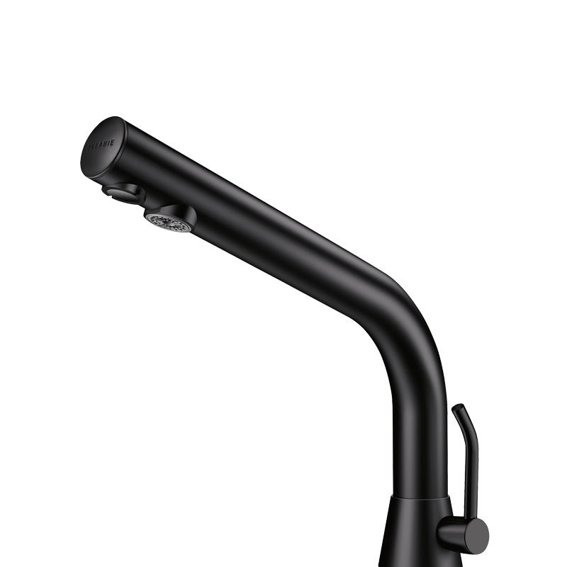 Mitigeur de lavabo automatique BLACK BINOPTIC MIX 220V DELABIE 388MCHB H170mm