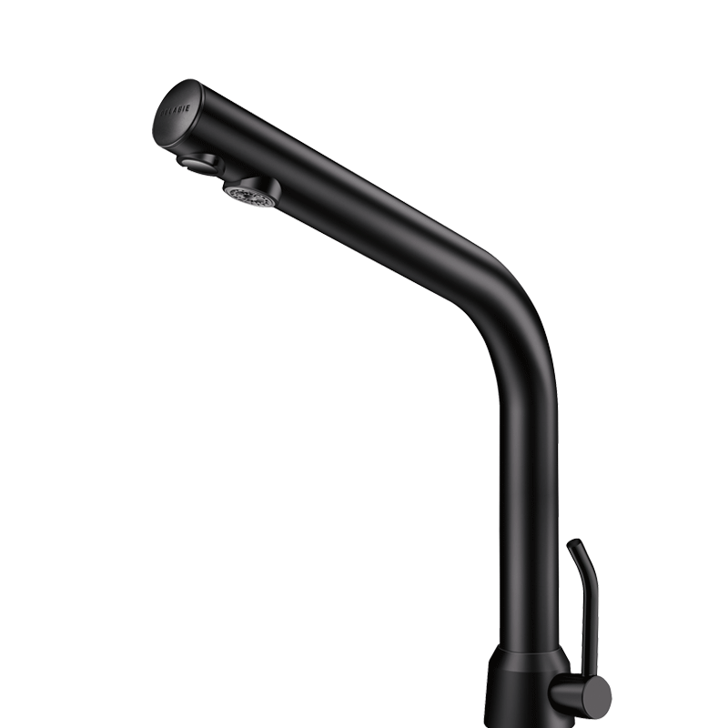 Robinet de lavabo automatique BLACK BINOPTIC 220 Volts DELABIE 398MCHB H250mm