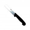 Couteau à légumes détectable  5 couleurs : Couleurs manches:Noir, Dimensions lames:15 cm, Lames :Lame standard