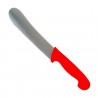 Couteau à pâte détectable 5 couleurs : Couleurs manches:Rouge