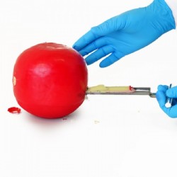 Mini Corer