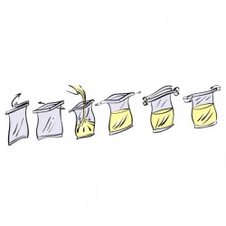 Flacon de laboratoire | Sachet stérile 60 à 10500 ml par 250 et 1000 pièces | 8080A-60