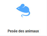 Pesée des animaux
Processus de détermination de la masse d'un animal qui peut se déplacer de manière incontrôlable sur le plateau. Par conséquent, la détermination de la masse nécessite beaucoup plus de temps que lors d’une pesée traditionnelle. Le temps pendant lequel la masse de l'animal pesé est contrôlée est défini par l'utilisateur. Vous pouvez ainsi optimiser cette fonction suivant l'activité de l'animal pesé.